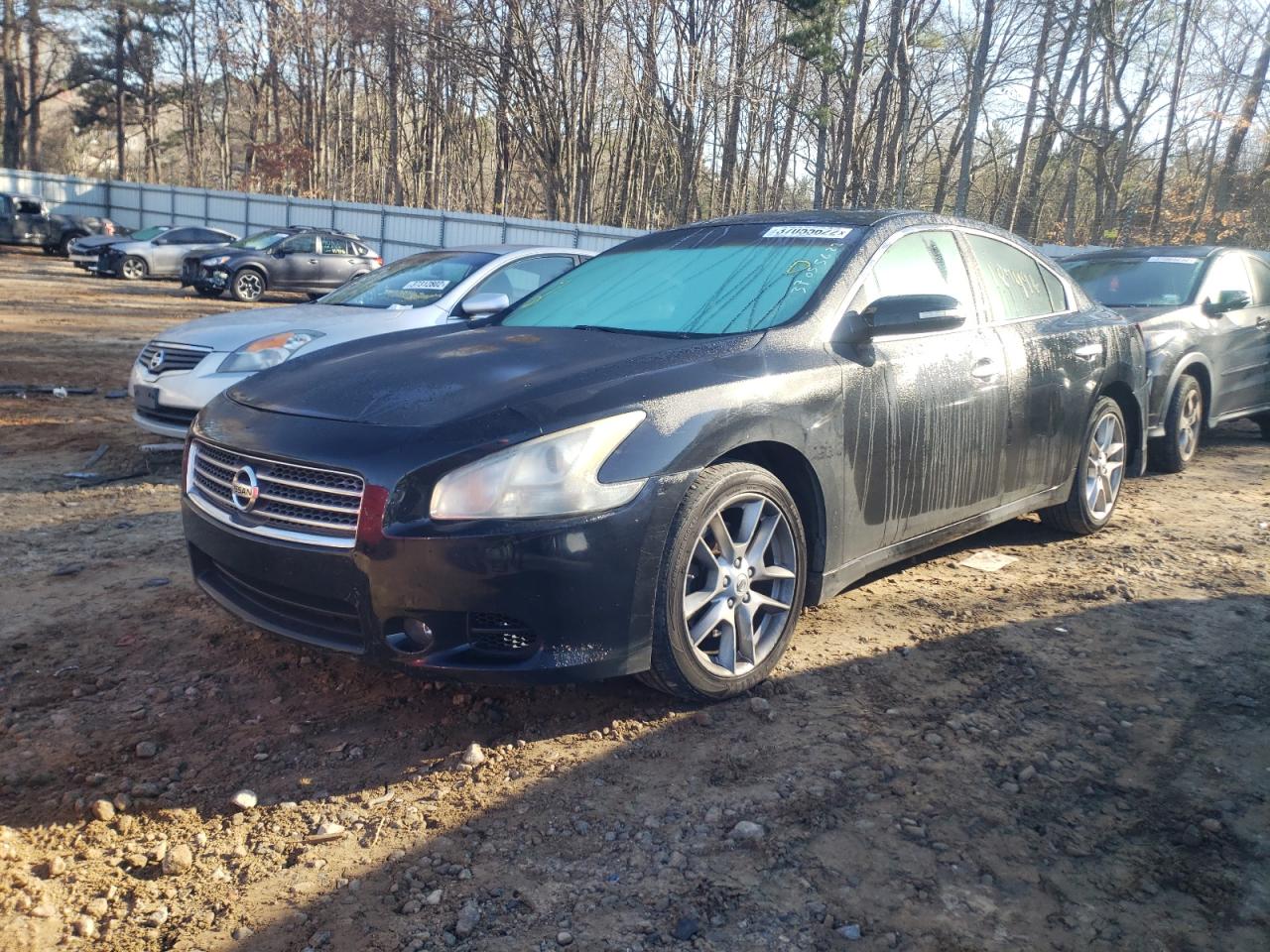 Photo 2 from auction – 2009 NISSAN MAXIMA S with VIN 1N4AA51E59C804465