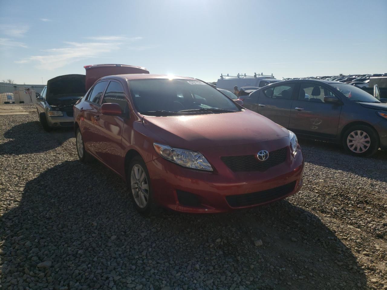 TOYOTA COROLLA BA 2010 with VIN 2T1BU4EE7AC293508 - Photo from auction
