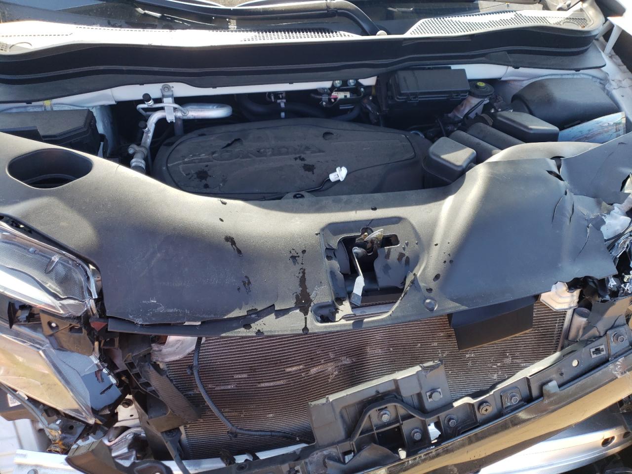 Photo 7 from auction – 2020 HONDA PASSPORT E with VIN 5FNYF8H52LB020689