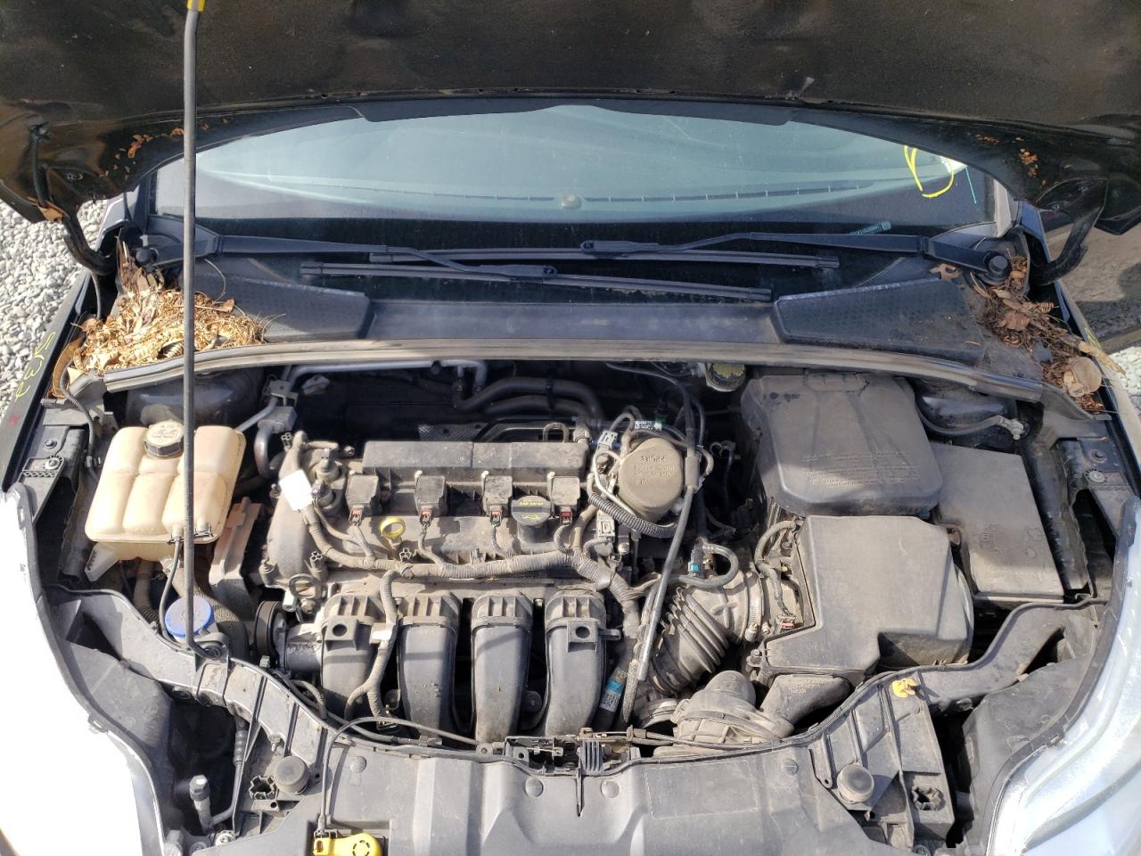 Photo 7 from auction – 2013 FORD FOCUS SE with VIN 1FADP3F21DL263941