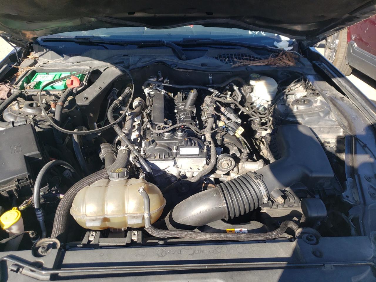 Photo 7 from auction – 2017 FORD MUSTANG with VIN 1FA6P8TH9H5203365