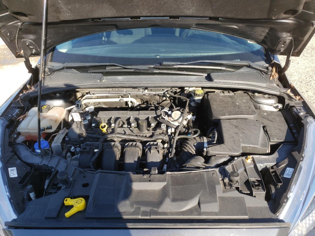 Photo 7 from auction – 2016 FORD FOCUS SE with VIN 1FADP3F21GL348296