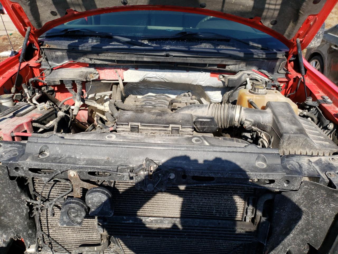 Photo 7 from auction – 2011 FORD F150 with VIN 1FTMF1EF8BFA71319