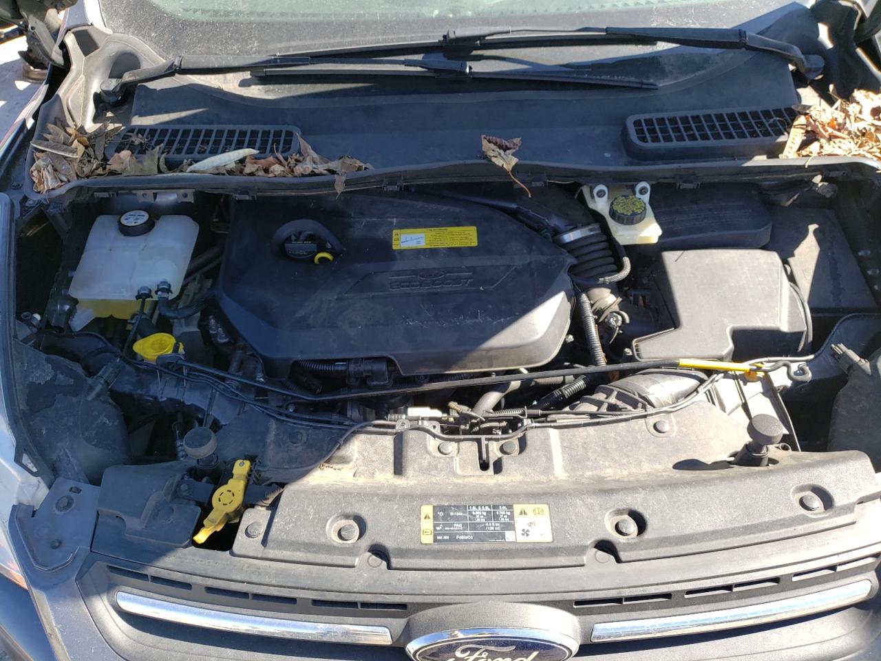 Photo 7 from auction – 2014 FORD ESCAPE SE with VIN 1FMCU0GX7EUA58476