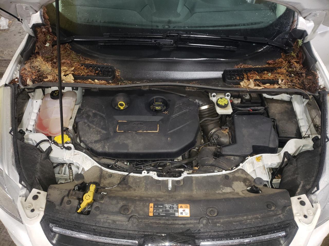 Photo 7 from auction – 2016 FORD ESCAPE SE with VIN 1FMCU9G9XGUB08358