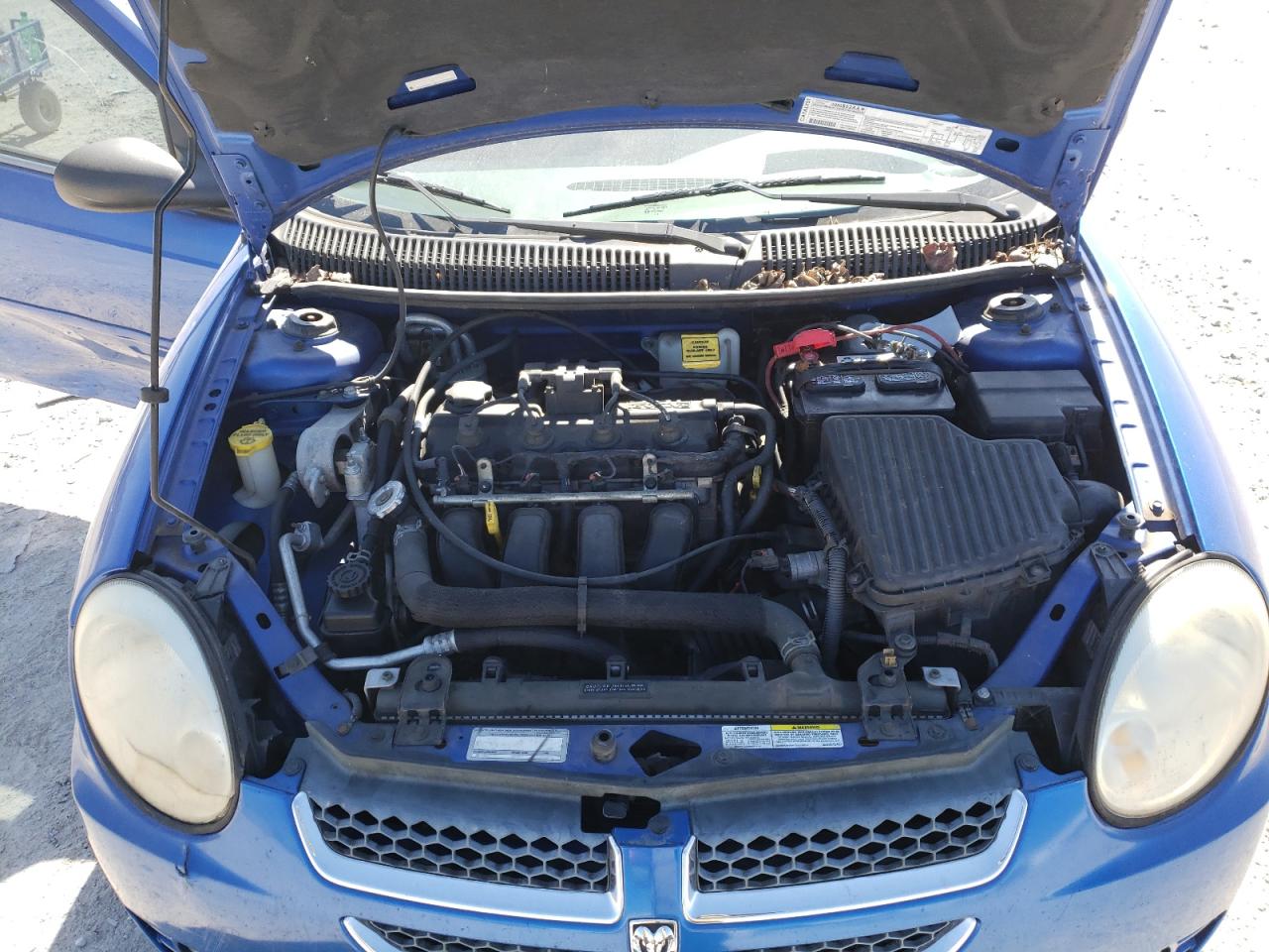 Photo 7 from auction – 2005 DODGE NEON SXT with VIN 1B3ES56C65D100541
