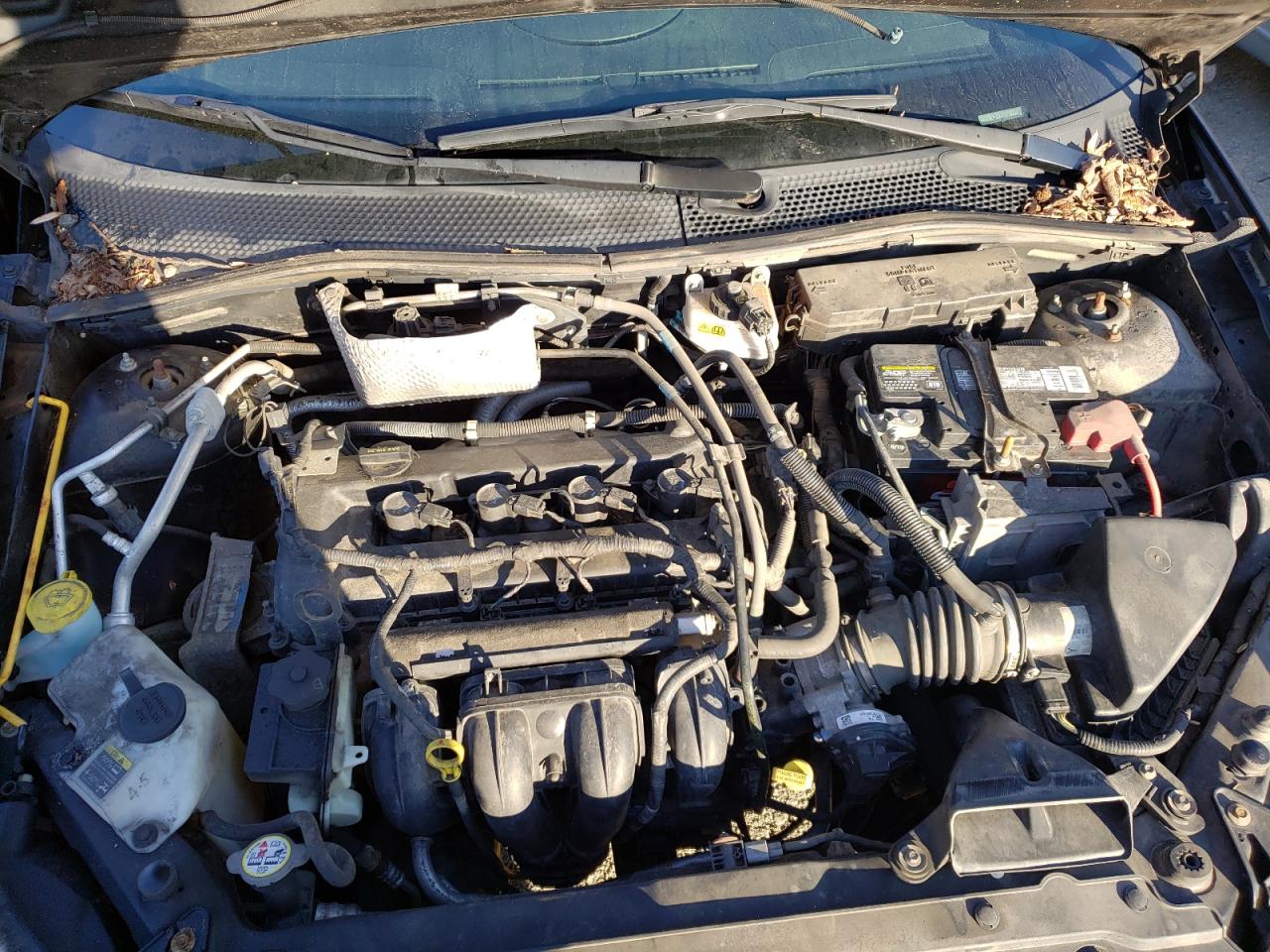 Фото 7 с аукциона – 2011 FORD FOCUS SES с VIN 1FAHP3GN2BW145998