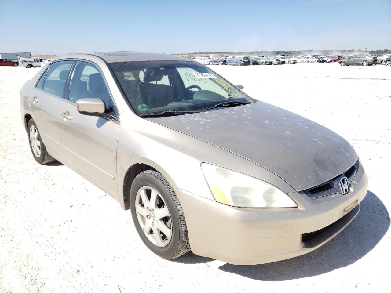 Photo 1 from auction – 2005 HONDA ACCORD EX with VIN 1HGCM66865A055976