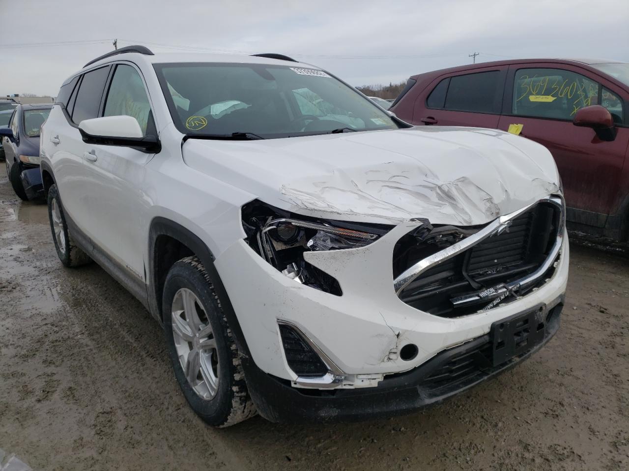 GMC TERRAIN SL 2019 with VIN 3GKALTEV1KL261598 - Photo from auction