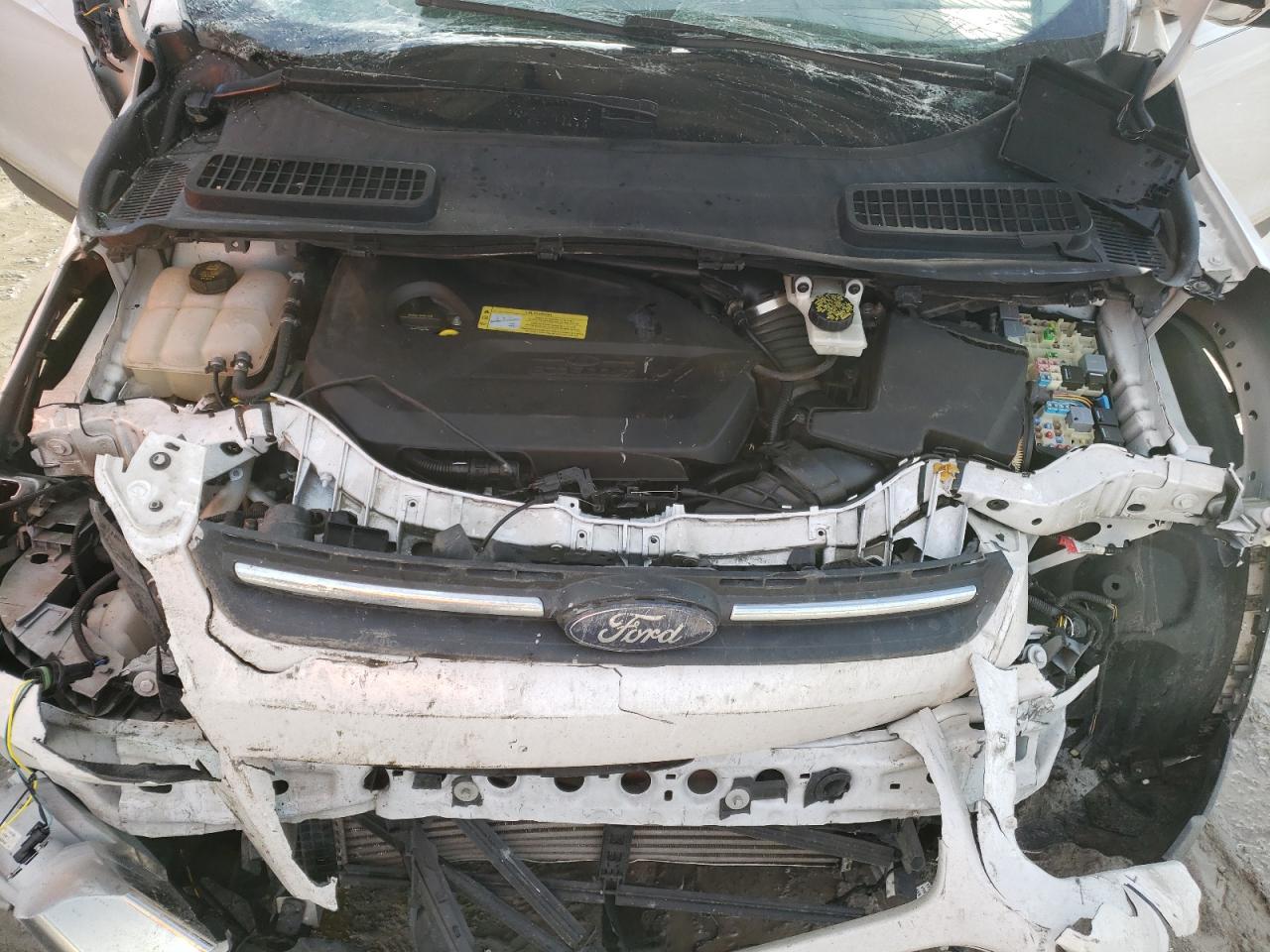 Photo 7 from auction – 2014 FORD ESCAPE SE with VIN 1FMCU0GX2EUB25128