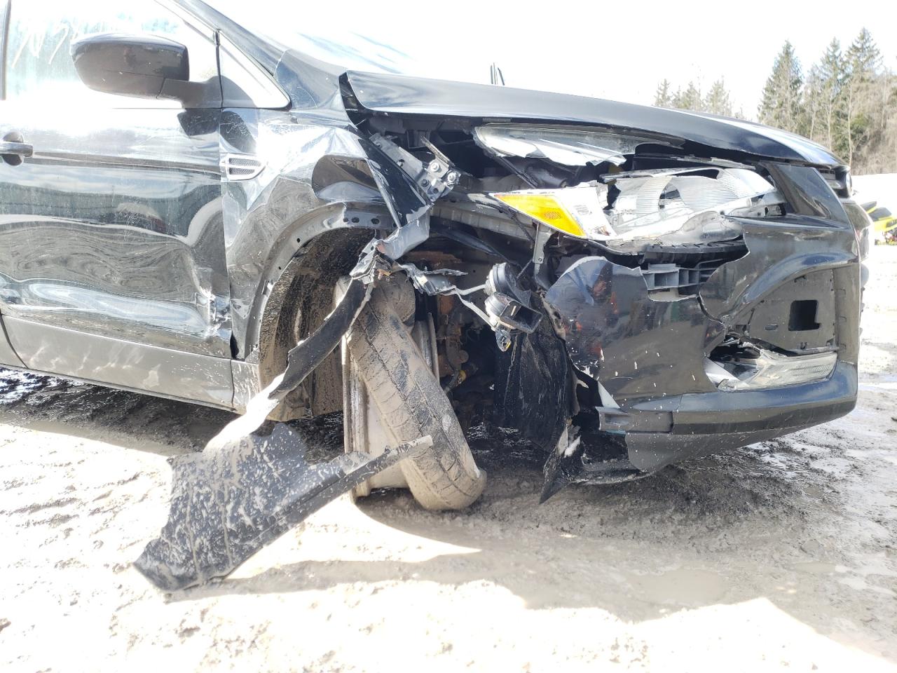 Photo 9 from auction – 2014 FORD ESCAPE SE with VIN 1FMCU9G92EUC99092
