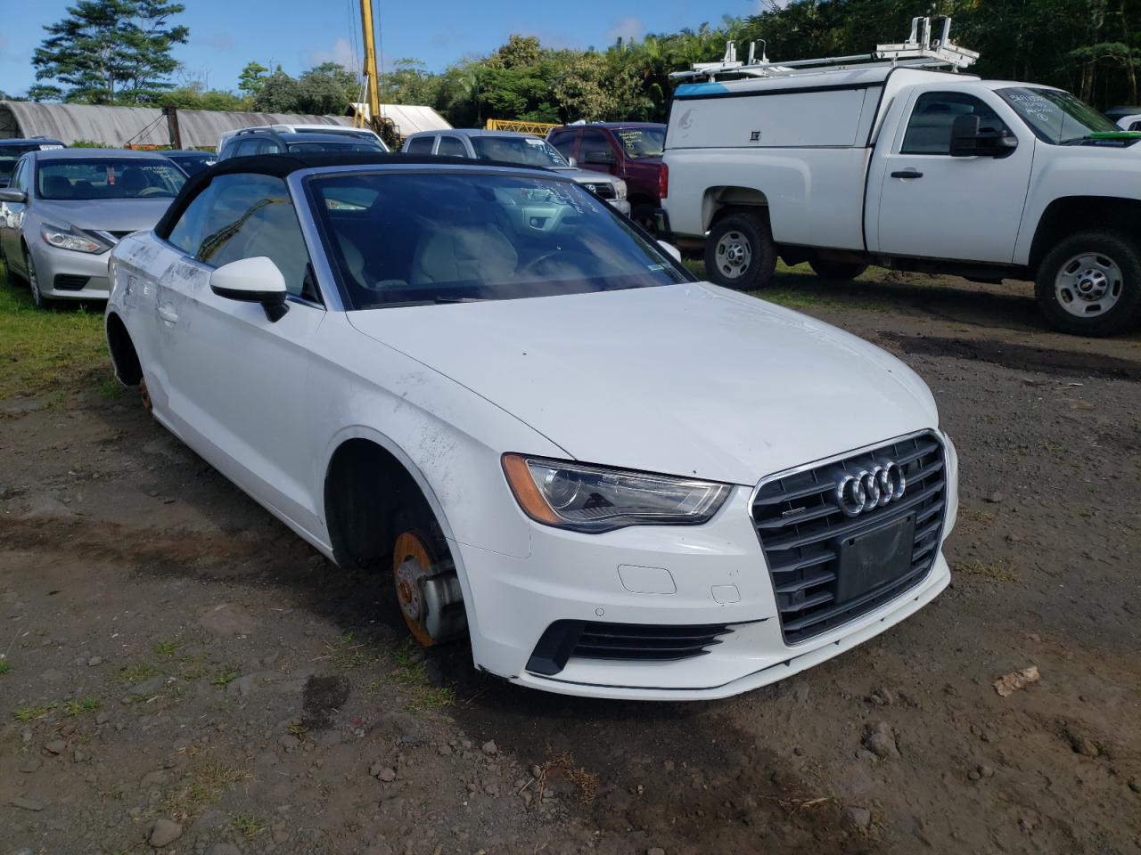 AUDI A3 PREMIUM 2016 with VIN WAU38LFF7G1015857 - Photo from auction