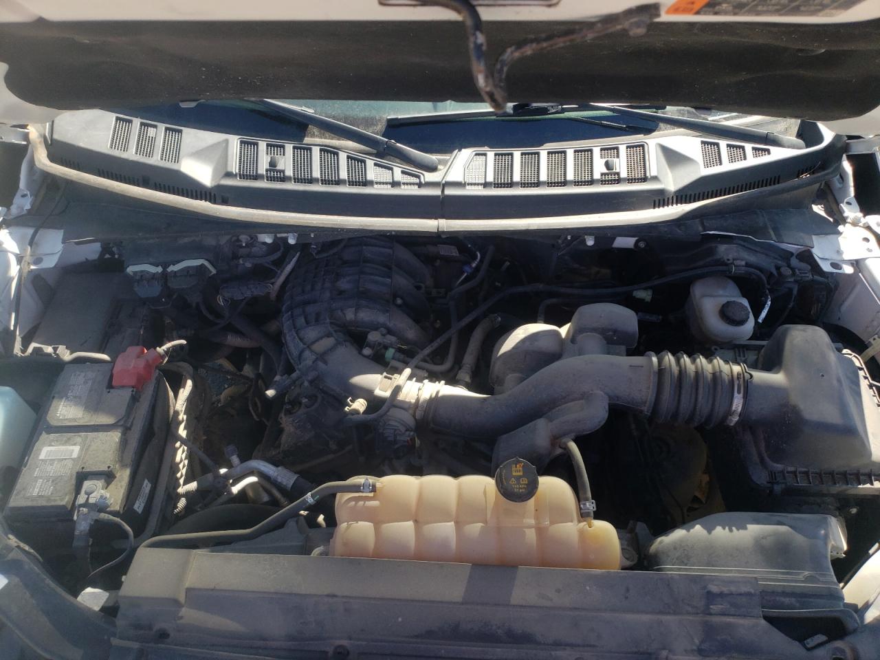 Photo 7 from auction – 2017 FORD F150 SUPER with VIN 1FTEW1E87HFB86900