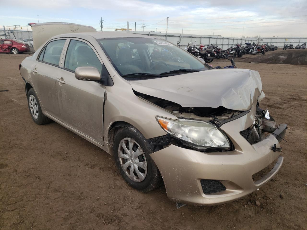TOYOTA COROLLA BA 2010 with VIN 2T1BU4EE9AC304038 - Photo from auction