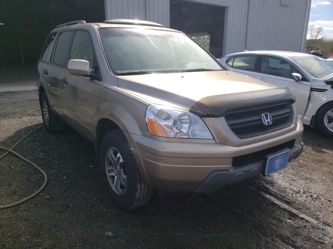 HONDA PILOT EXL 2005 with VIN 5FNYF185X5B053871 - Photo from auction