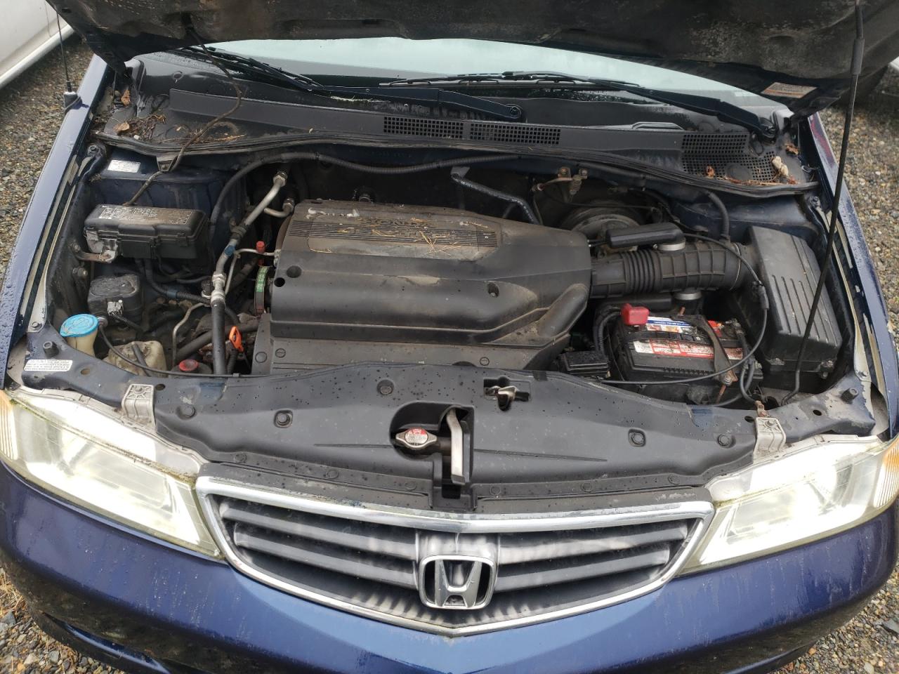 Photo 7 from auction – 2003 HONDA ODYSSEY EX with VIN 5FNRL18043B055713