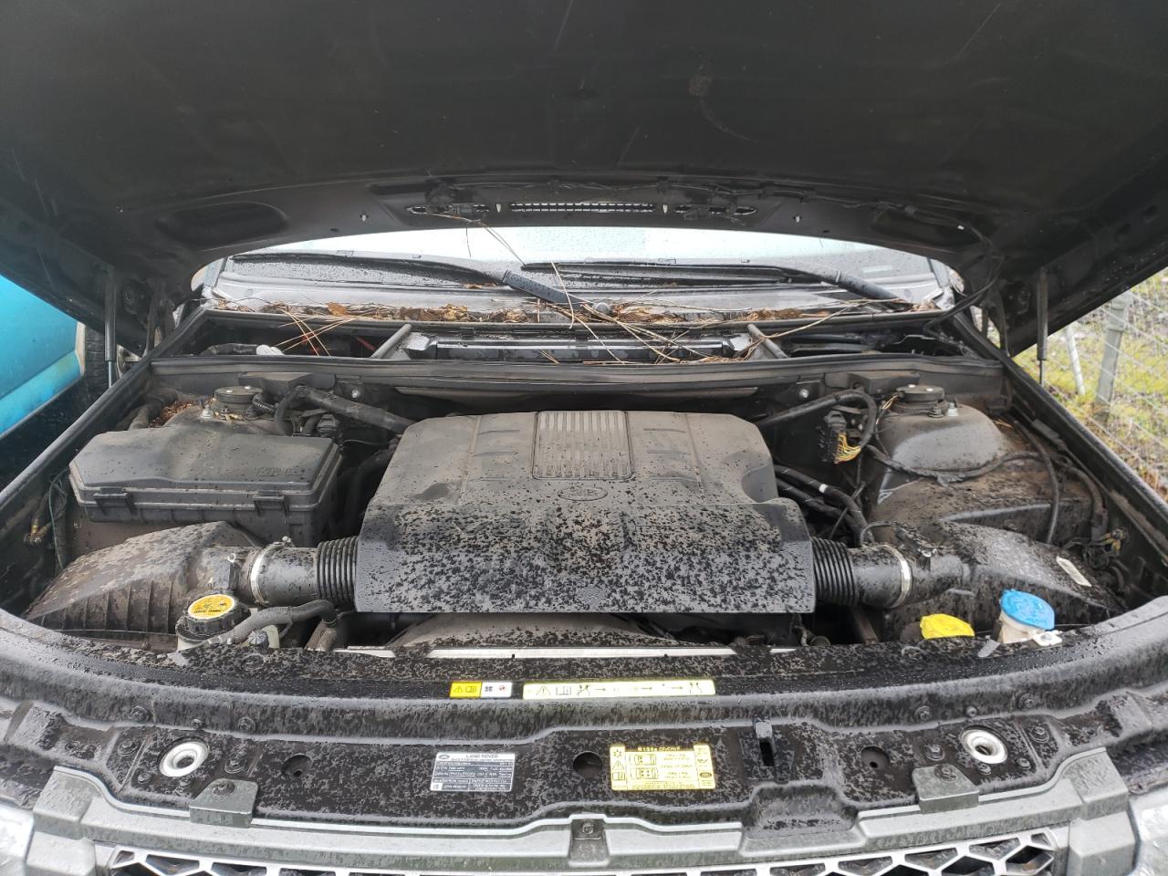 Photo 7 from auction – 2011 LAND ROVER RANGE ROVE with VIN SALMF1D46BA341279