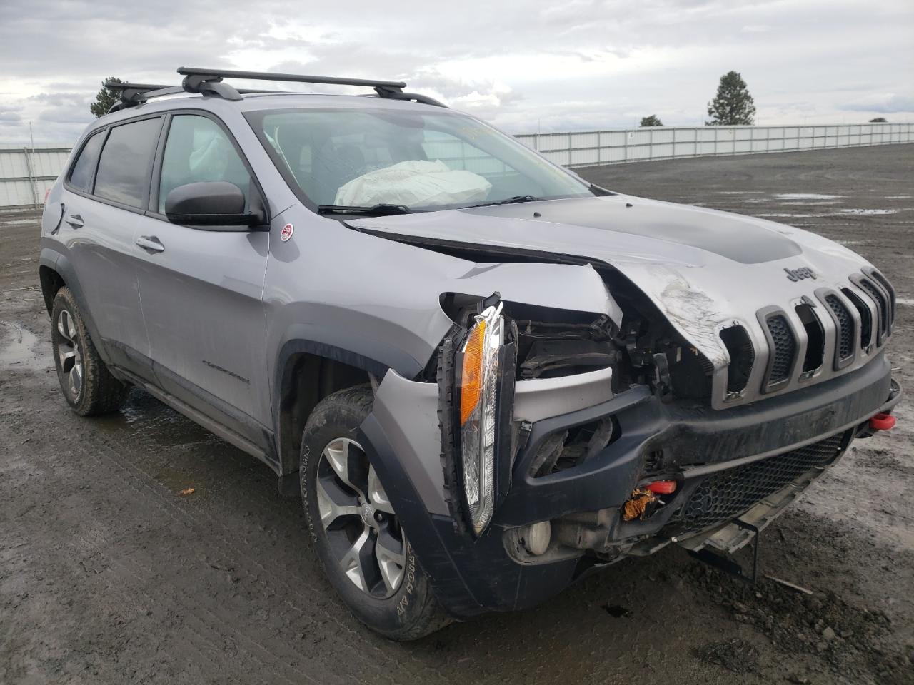 JEEP CHEROKEE T 2018 with VIN 1C4PJMBB7JD569164 - Photo from auction