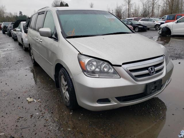 HONDA ODYSSEY EX 2005 with VIN 5FNRL38475B406891 - Photo from auction