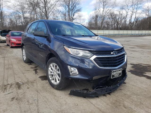 CHEVROLET EQUINOX LS 2019 with VIN 3GNAXHEV4KL266542 - Photo from auction