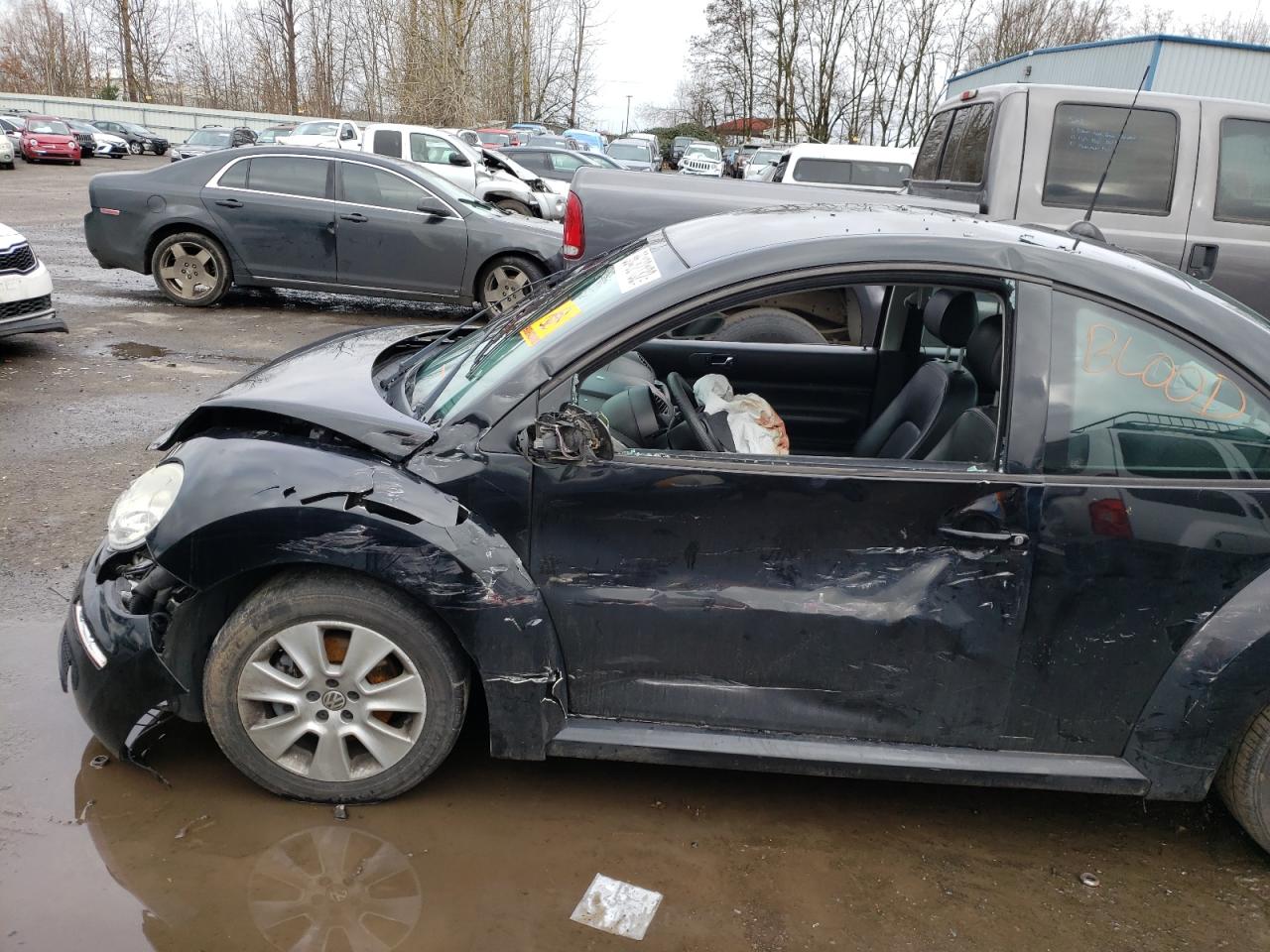 Photo 9 from auction – 2008 VOLKSWAGEN NEW BEETLE with VIN 3VWPW31C08M514220