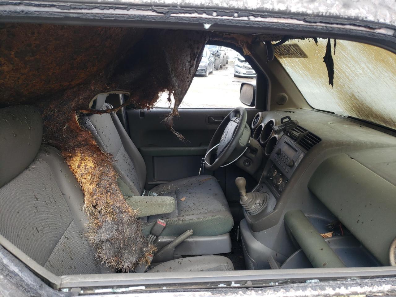Photo 5 from auction – 2004 HONDA ELEMENT EX with VIN 5J6YH27534L026468