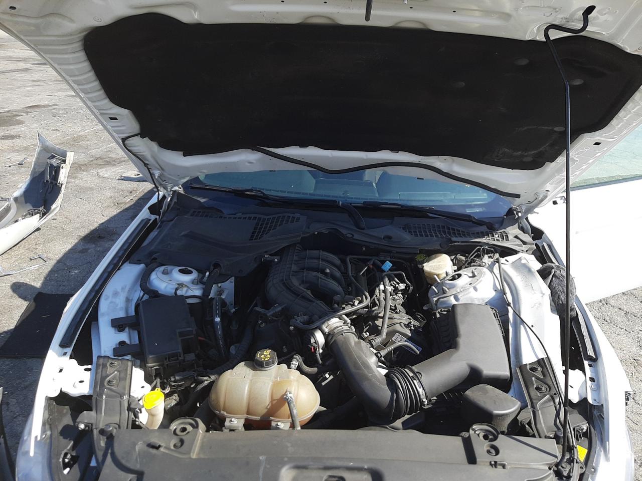 Photo 7 from auction – 2017 FORD MUSTANG with VIN 1FA6P8AM5H5250506