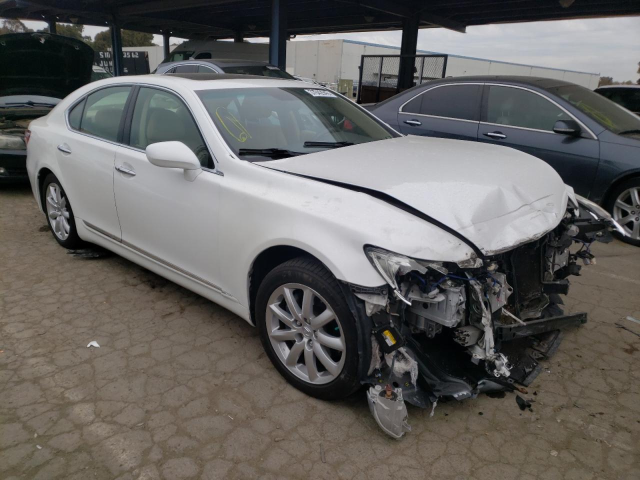 LEXUS LS 460 2008 with VIN JTHBL46F885065632 - Photo from auction