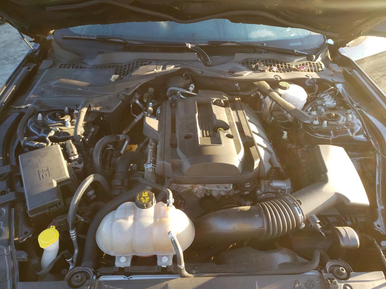 Photo 7 from auction – 2019 FORD MUSTANG with VIN 1FATP8UH0K5117256