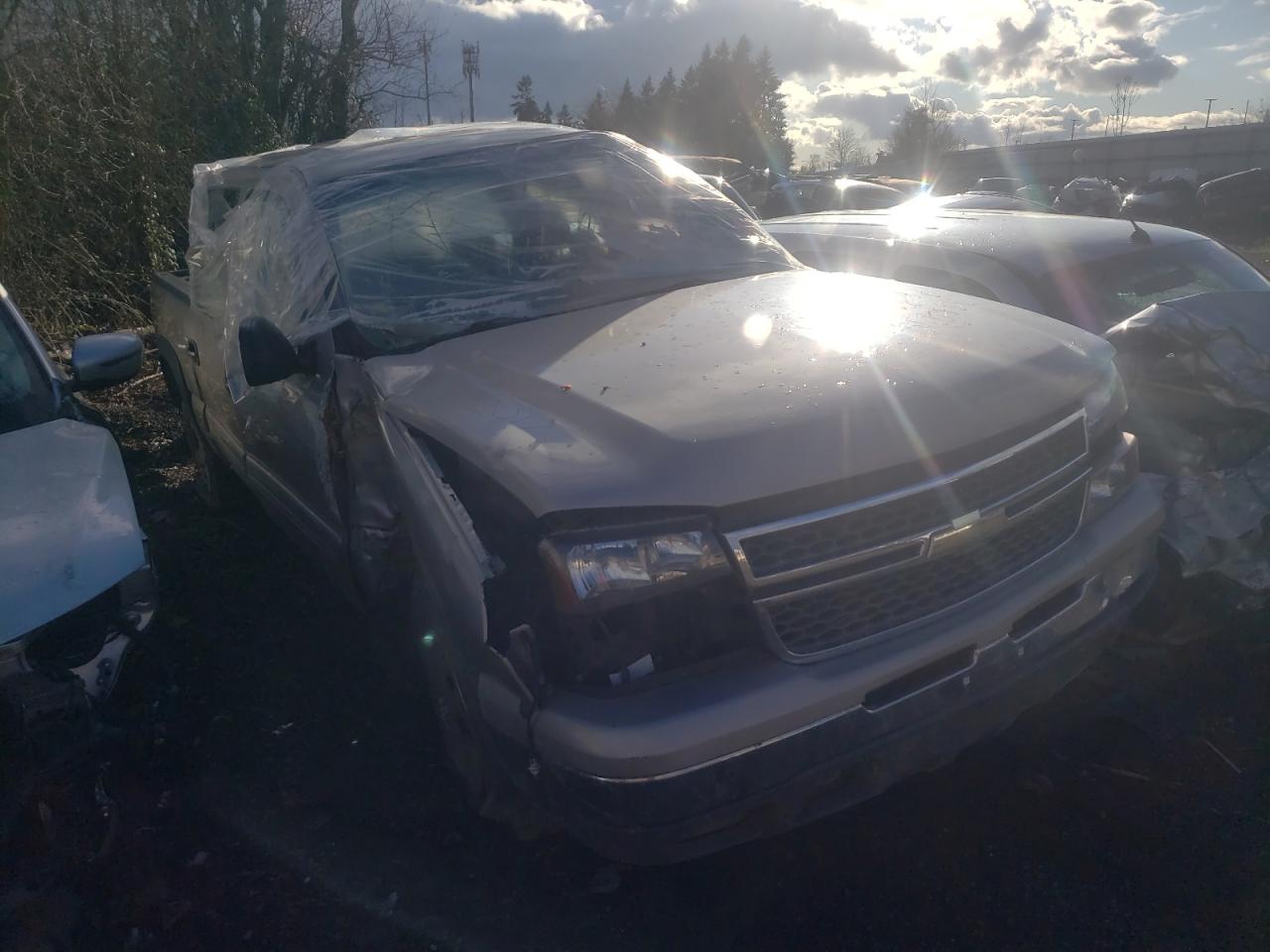 CHEVROLET SILVERADO 2006 with VIN 2GCEK13TX61130053 - Photo from auction