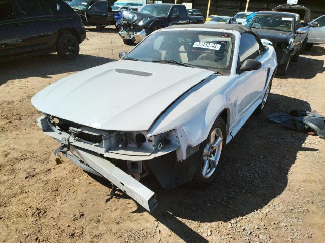 Photo 2 from auction – 2002 FORD MUSTANG with VIN 1FAFP44432F107589