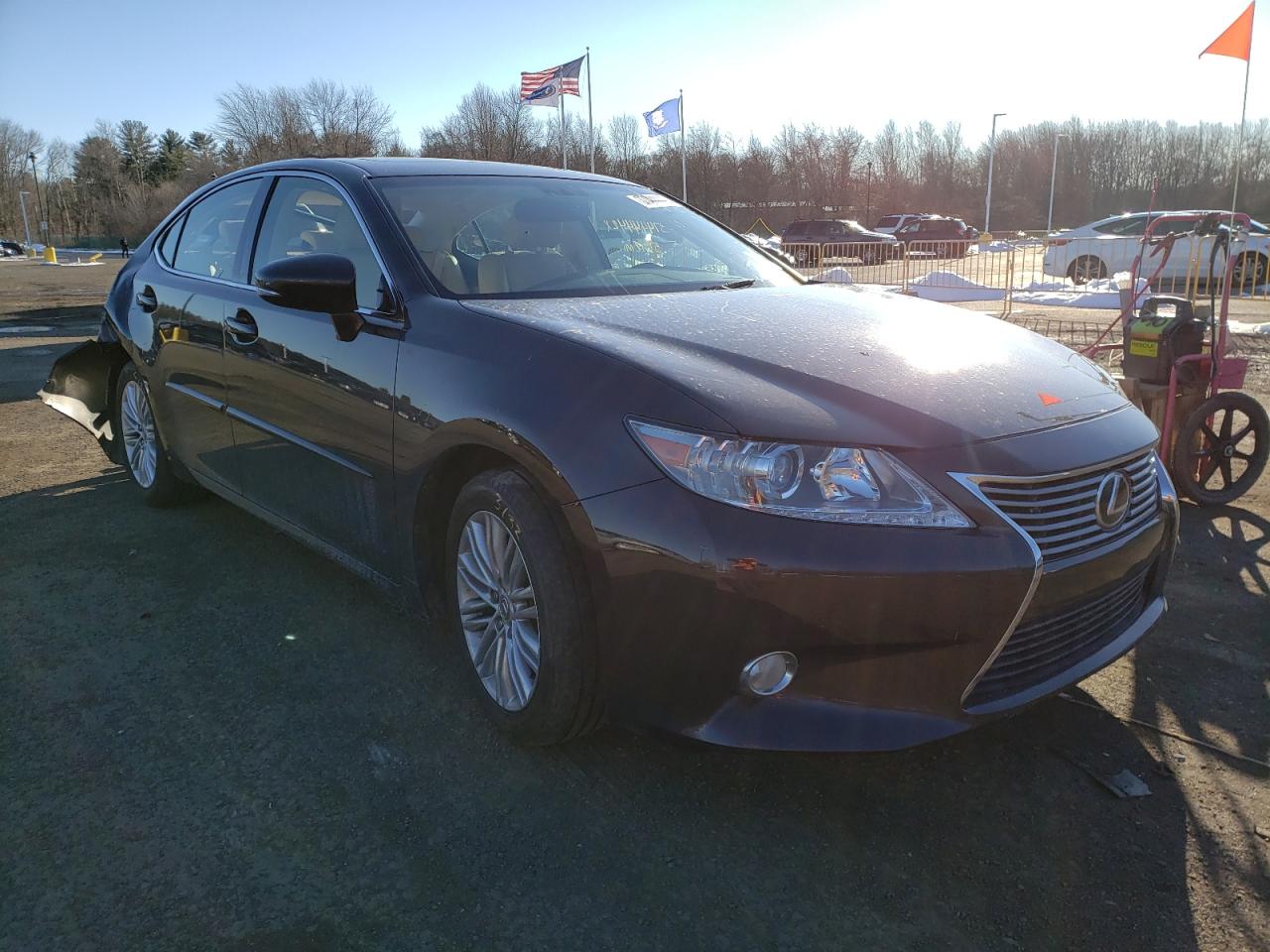LEXUS ES 350 2013 with VIN JTHBK1GG9D2007274 - Photo from auction