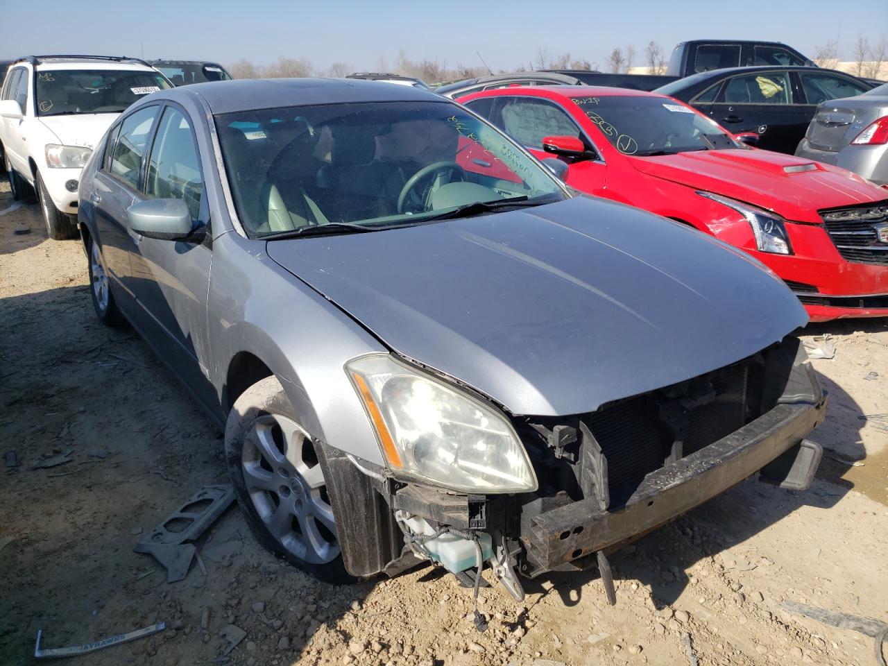 NISSAN MAXIMA SE 2008 with VIN 1N4BA41E68C822356 - Photo from auction