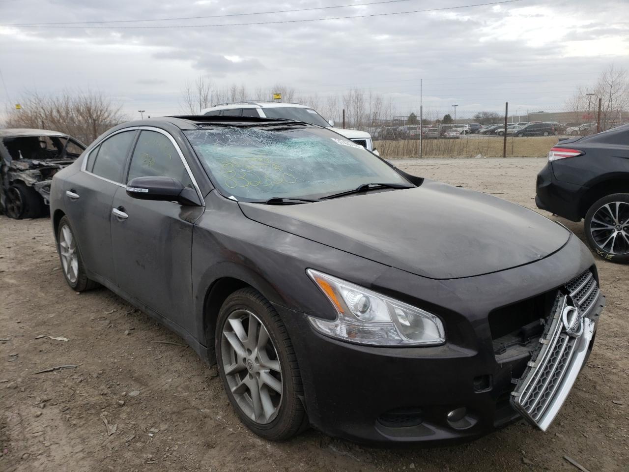 NISSAN MAXIMA S 2011 with VIN 1N4AA5APXBC832320 - Photo from auction