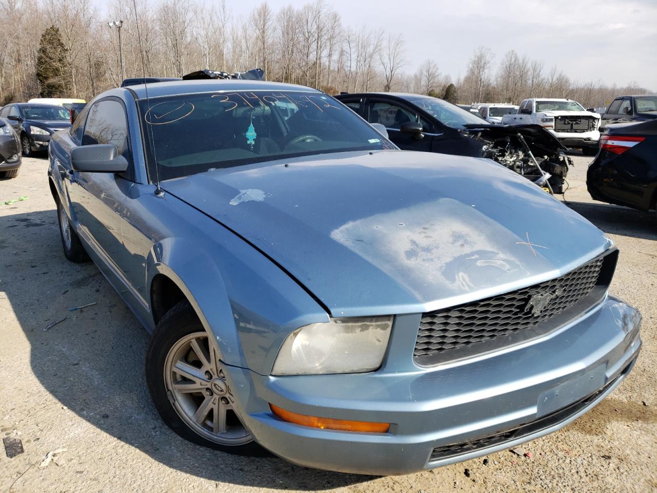Photo 1 from auction – 2005 FORD MUSTANG with VIN 1ZVFT80NX55108936