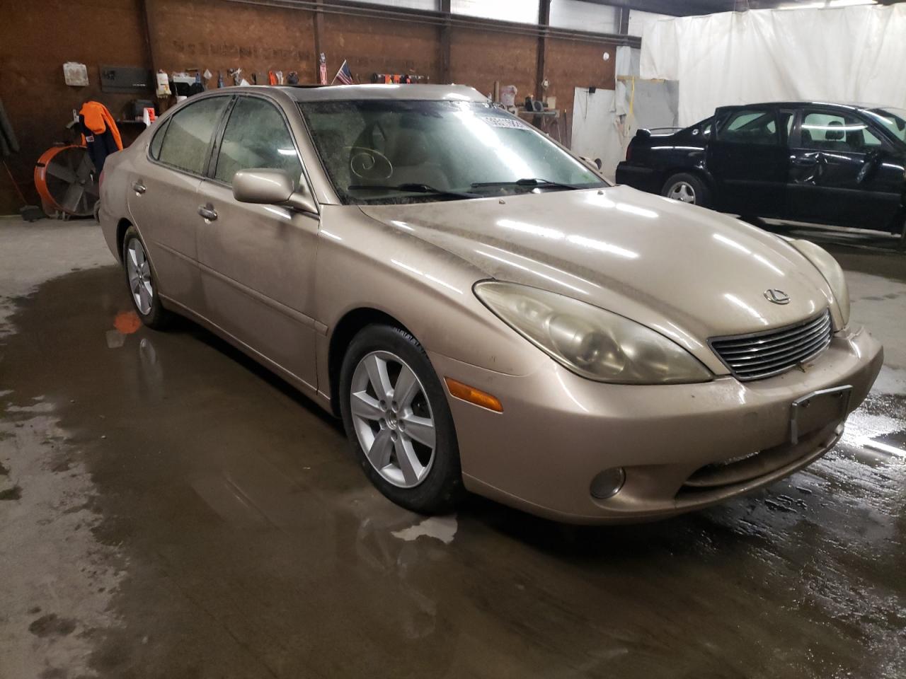 LEXUS ES 330 2005 with VIN JTHBA30G255076364 - Photo from auction