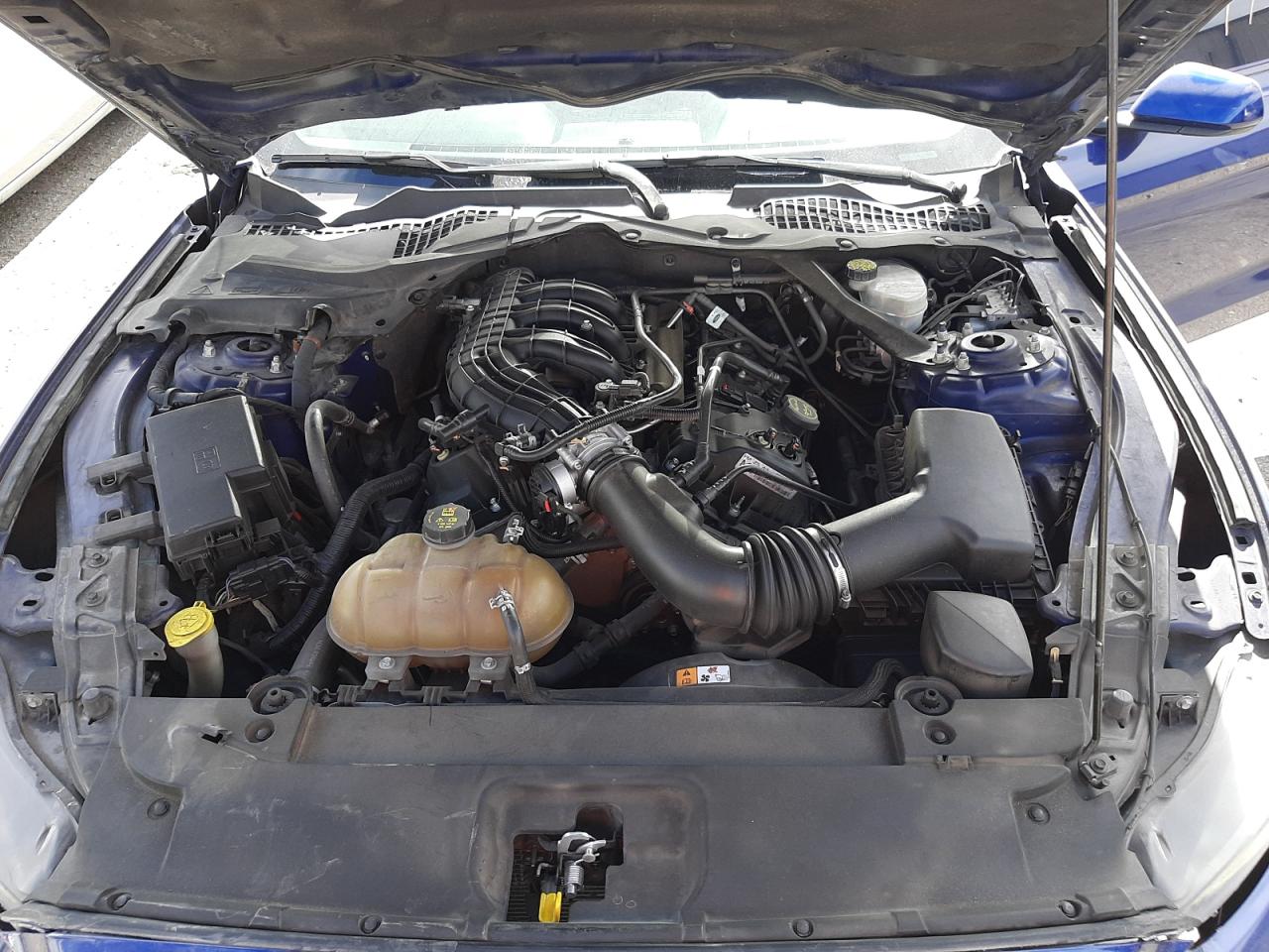 Photo 7 from auction – 2015 FORD MUSTANG with VIN 1FA6P8AM8F5351097