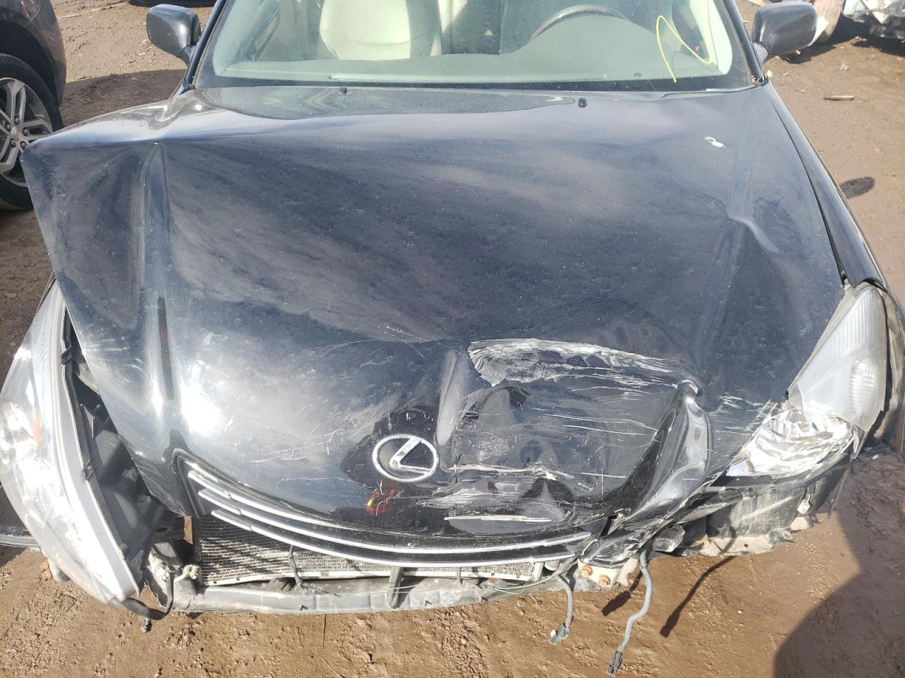Photo 7 from auction – 2003 LEXUS ES 300 with VIN JTHBF30G630122631