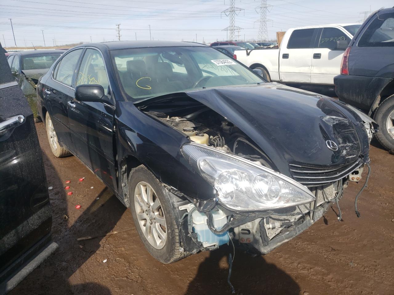 LEXUS ES 300 2003 with VIN JTHBF30G630122631 - Photo from auction