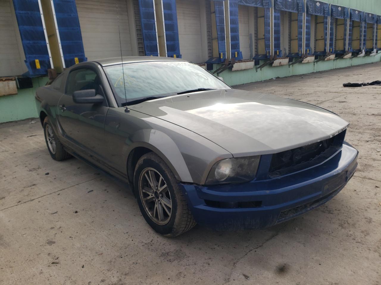 Photo 1 from auction – 2005 FORD MUSTANG with VIN 1ZVFT80N555166016
