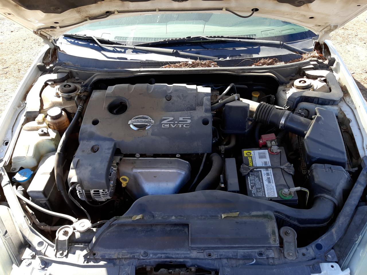 Photo 7 from auction – 2004 NISSAN ALTIMA BAS with VIN 1N4AL11DX4C104945