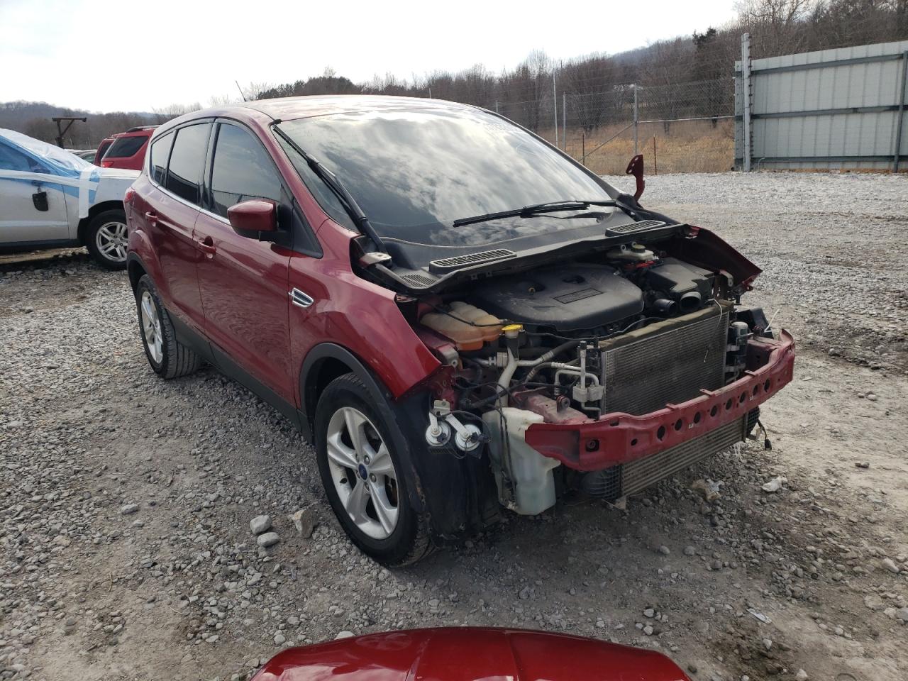FORD ESCAPE SE 2014 with VIN 1FMCU9G91EUA77031 - Photo from auction