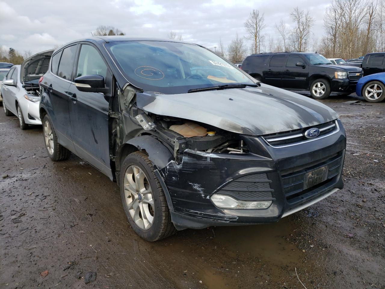 FORD ESCAPE SEL 2013 with VIN 1FMCU9H91DUA09969 - Photo from auction