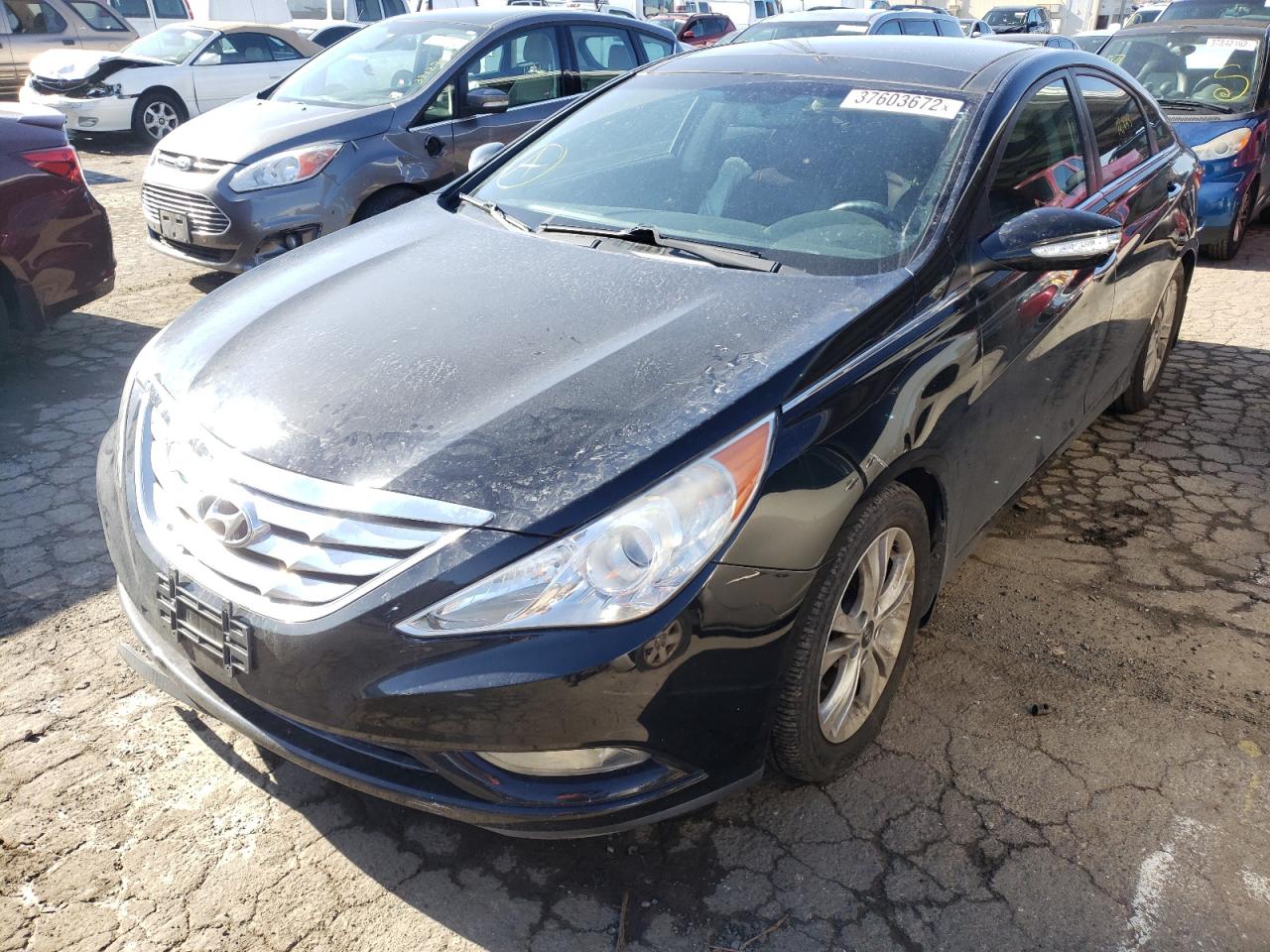Photo 2 from auction – 2013 HYUNDAI SONATA SE with VIN 5NPEC4AC0DH689463