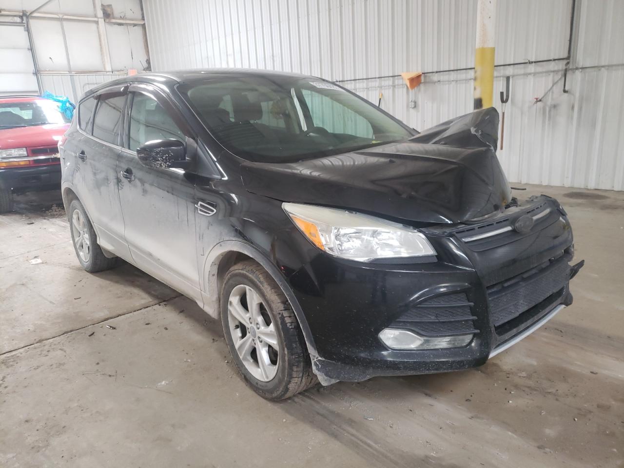 FORD ESCAPE SE 2013 with VIN 1FMCU0G99DUD16075 - Photo from auction