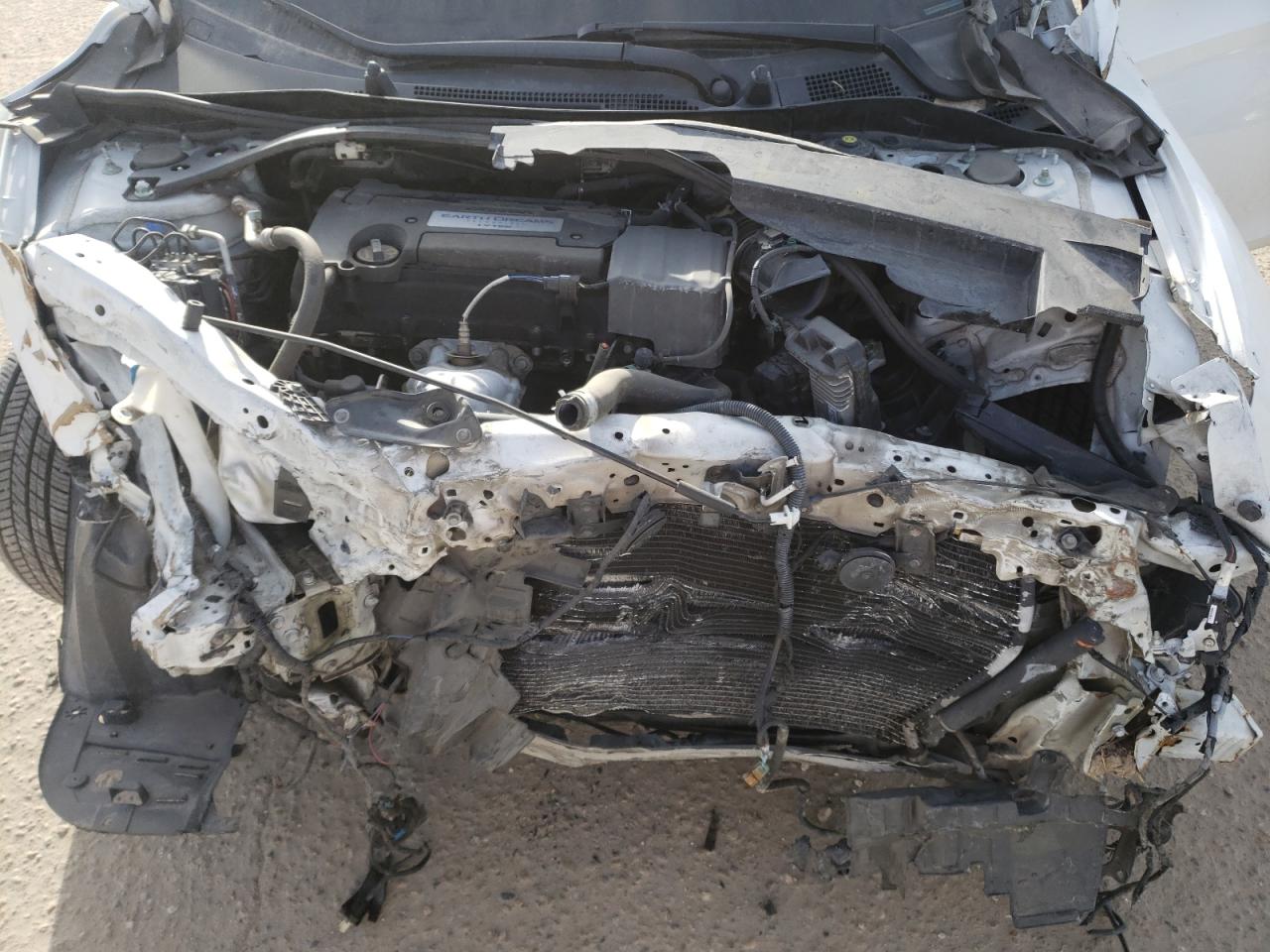 Photo 7 from auction – 2014 HONDA ACCORD EXL with VIN 1HGCR2F85EA196239