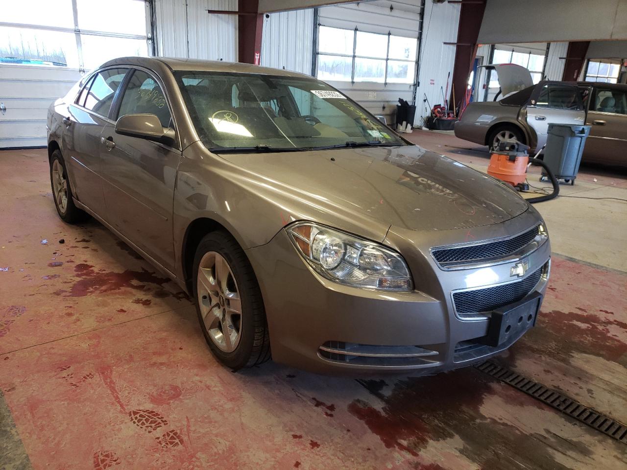 CHEVROLET MALIBU 1LT 2010 with VIN 1G1ZC5EB5AF214849 - Photo from auction