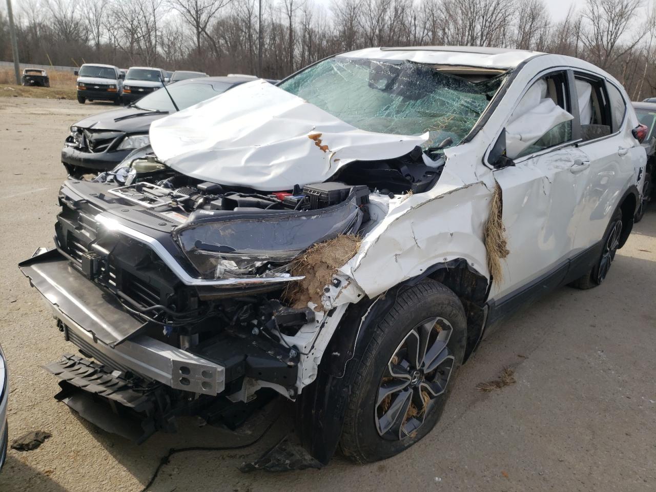 Photo 2 from auction – 2021 HONDA CR-V EX with VIN 5J6RW2H53ML006486
