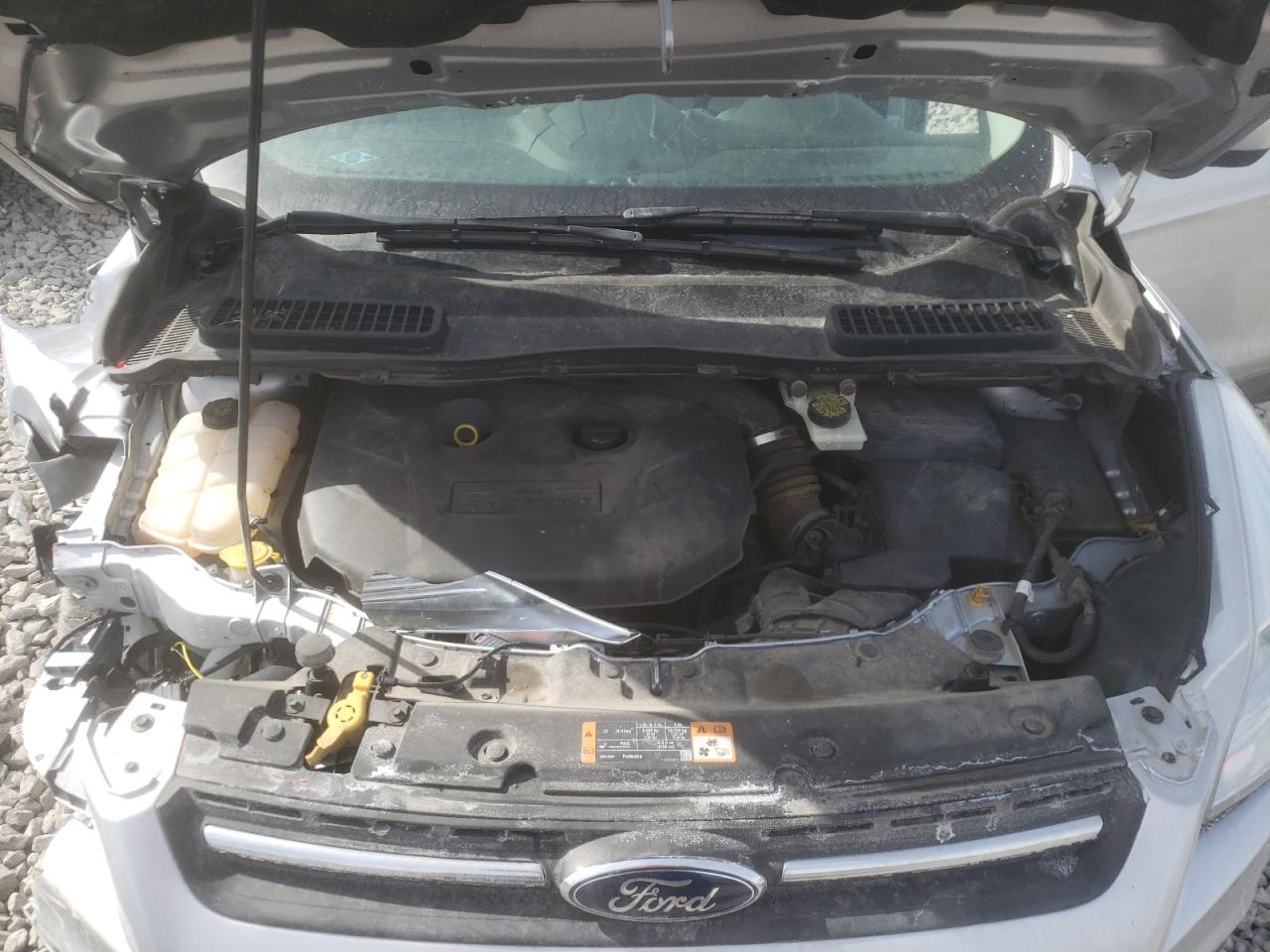 Photo 7 from auction – 2014 FORD ESCAPE SE with VIN 1FMCU9G96EUA27998