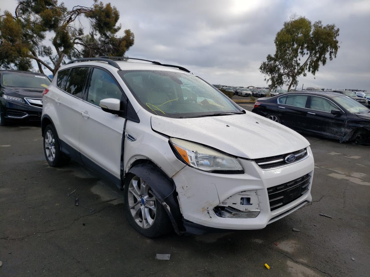 FORD ESCAPE SEL 2013 with VIN 1FMCU0HX1DUC34046 - Photo from auction